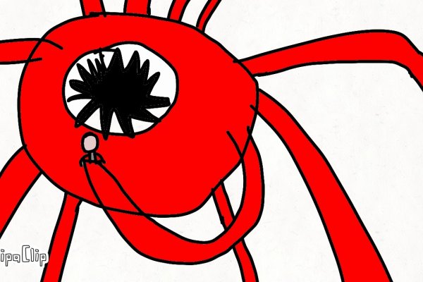 Kraken рынок