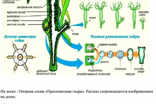 Kraken зеркала gigageek ru